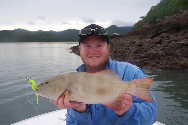 Rock wall Trout